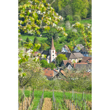 Laden Sie das Bild in den Galerie-Viewer, Der Teninger Einkaufsgutschein