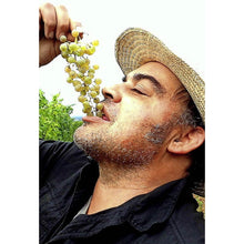 Laden Sie das Bild in den Galerie-Viewer, Weingut Gallushof